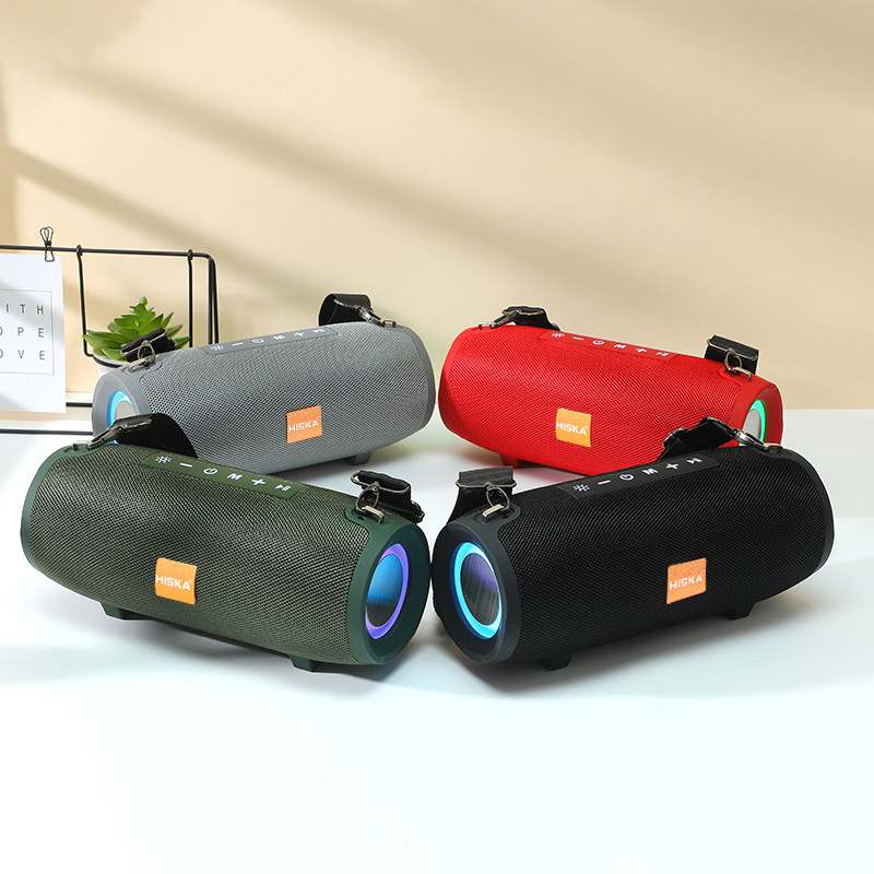 اسپیکر بلوتوثی قابل حمل هیسکا مدل B193